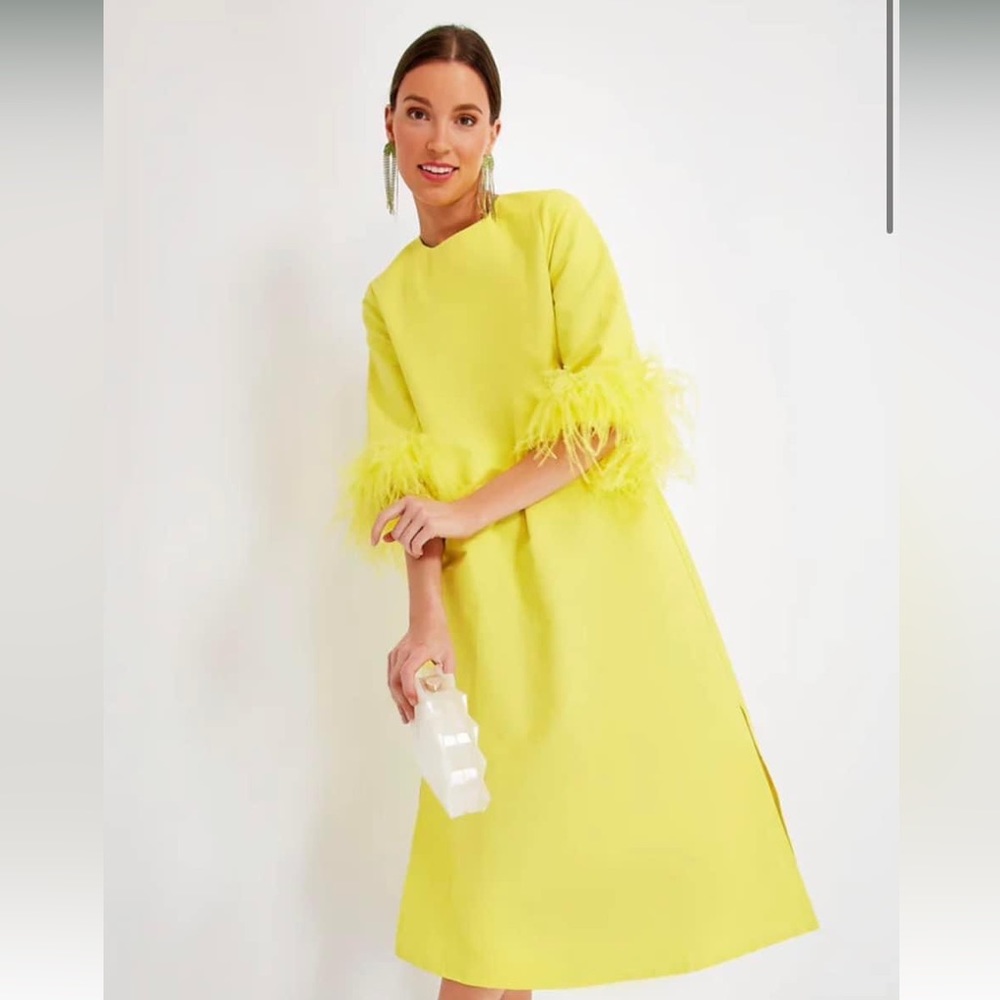 Tuckernuck Jamie Citron Feather dress